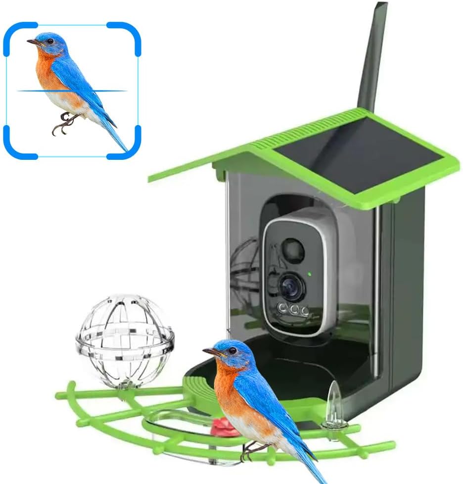 A1 Watches & Jewelry New York Photos - Aplikasi WIFI Pengamatan Burung Real-Time Kamera